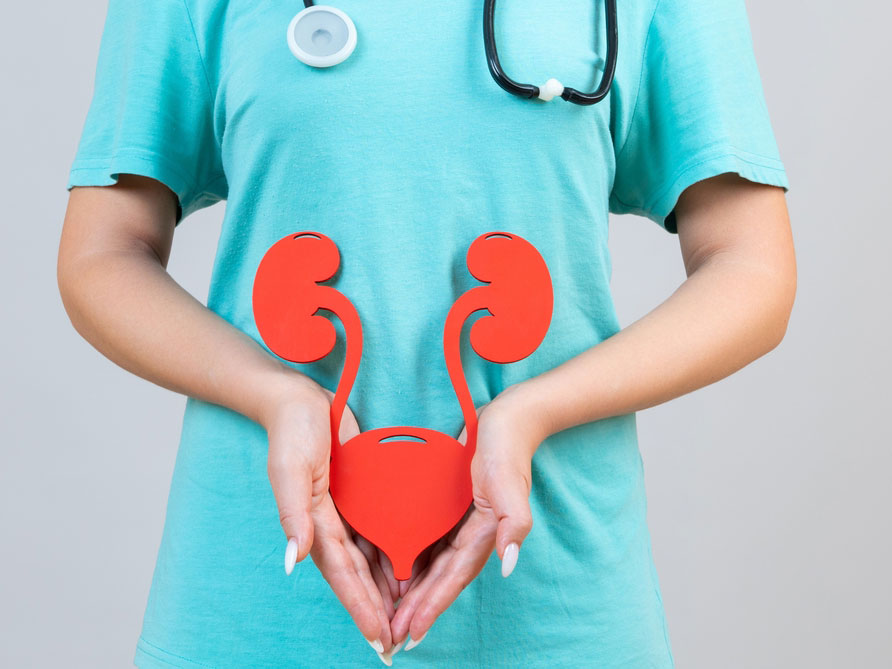 Female Urologist in Adelaide Female Urologist in Adelaide